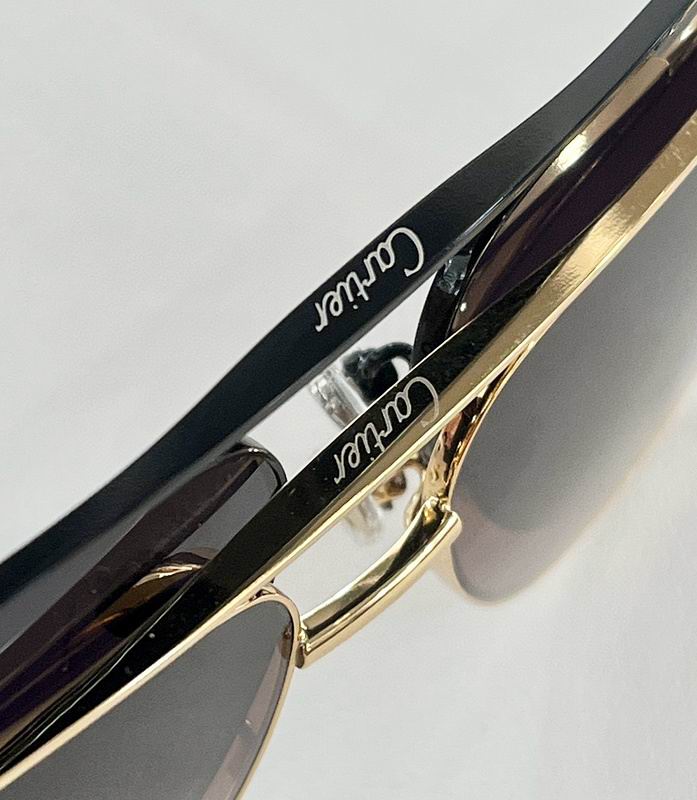 Cartier Glasses smx (533)